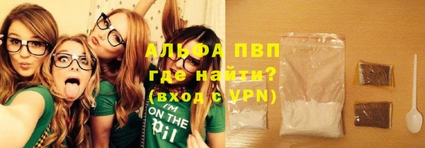 прущие грибы Новозыбков