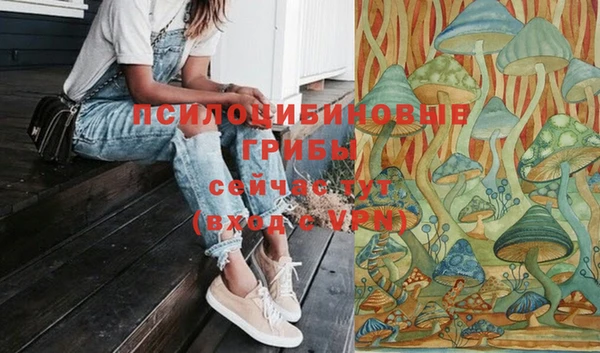 кокаин Алексеевка