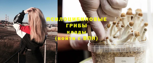 метадон Алзамай