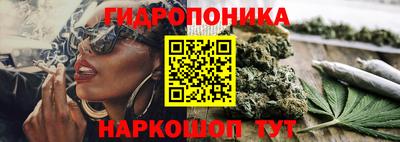 стаф Нарткала